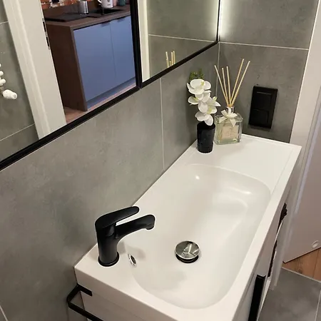 Konarskiego 公寓 *