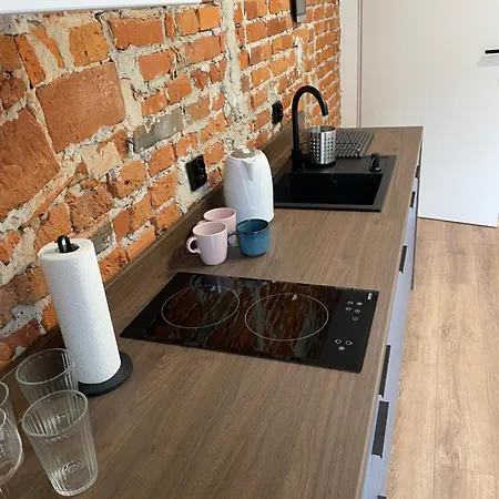 公寓 Konarskiego 克拉科夫