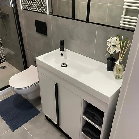 Konarskiego 公寓 *