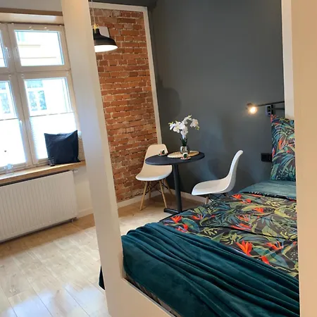 Konarskiego 公寓 *